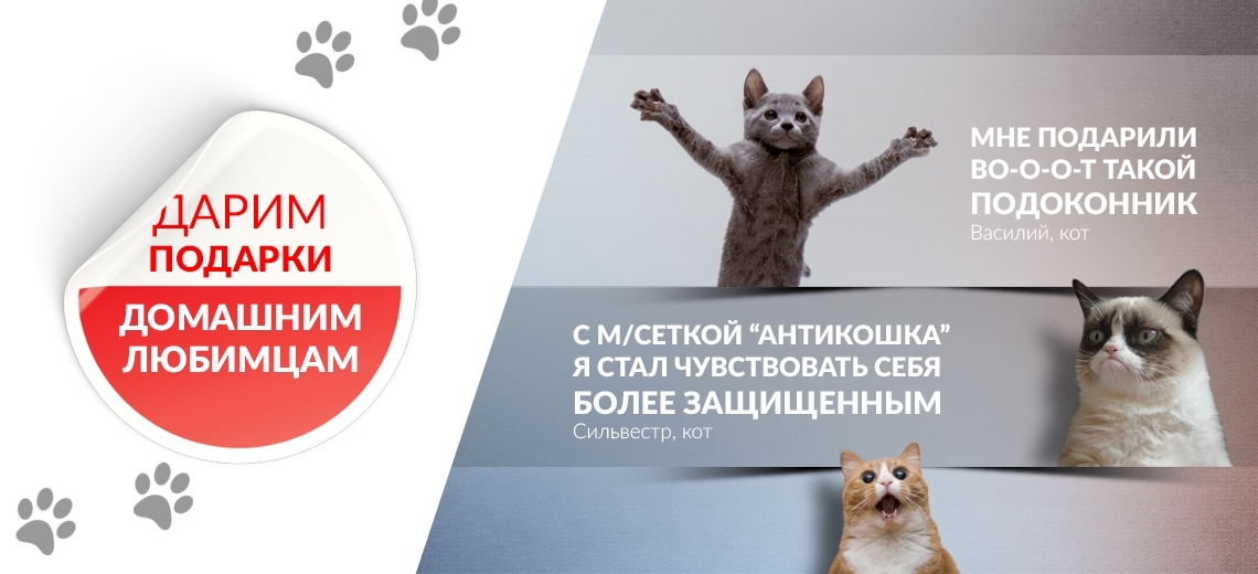 Котики